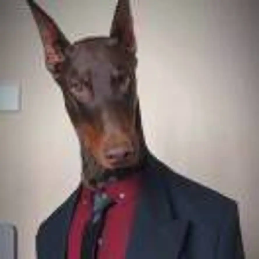 明日何其多的头像