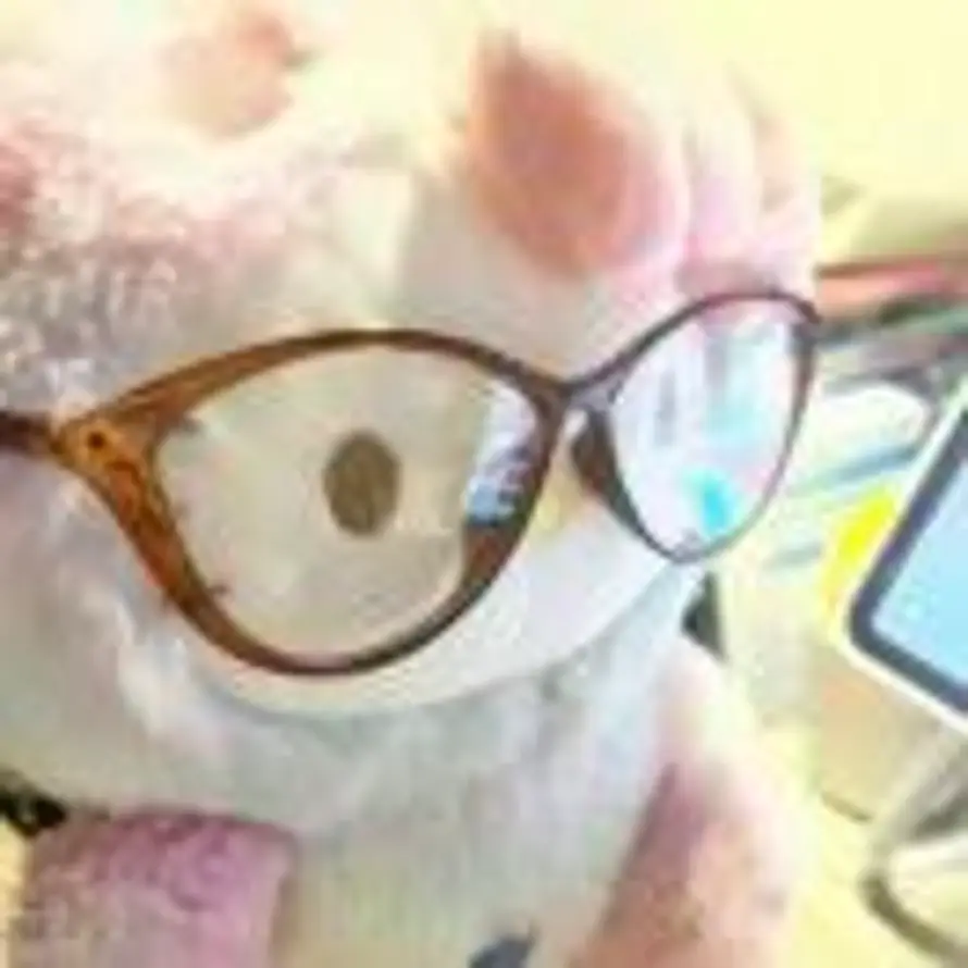 野生三角函数的头像