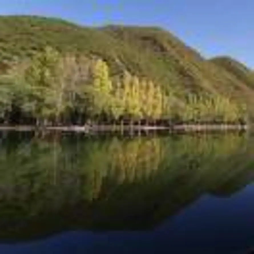 清华园市场所-李世强的头像