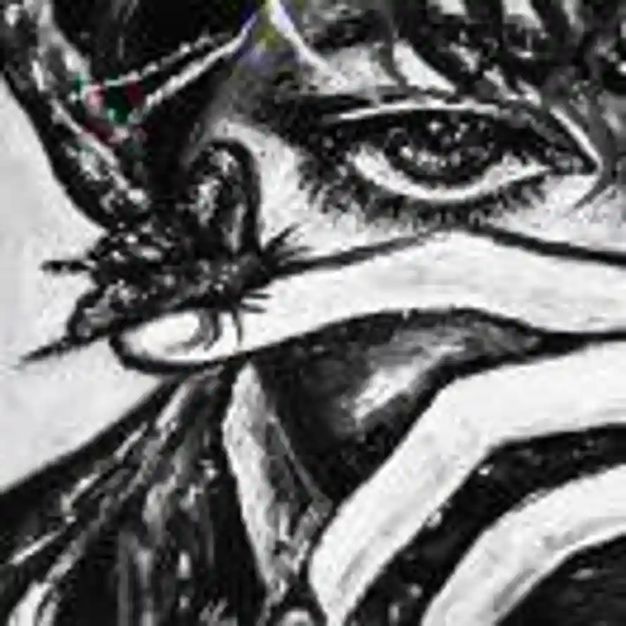 Jıαʏı 🥝的头像