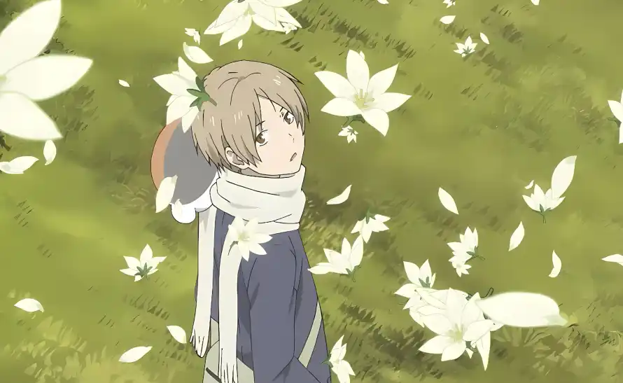 4k夏目壁纸 - 清新 - 白花 - 草地「哲风壁纸」