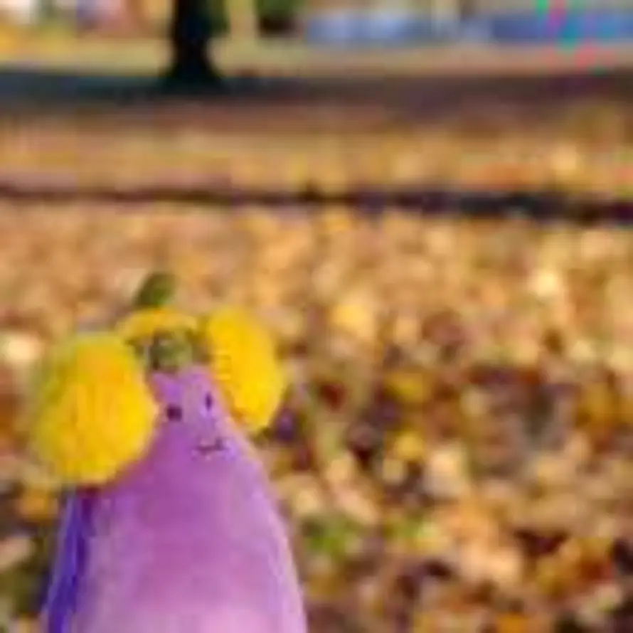 有风吹过（工作名:粥粥）的头像