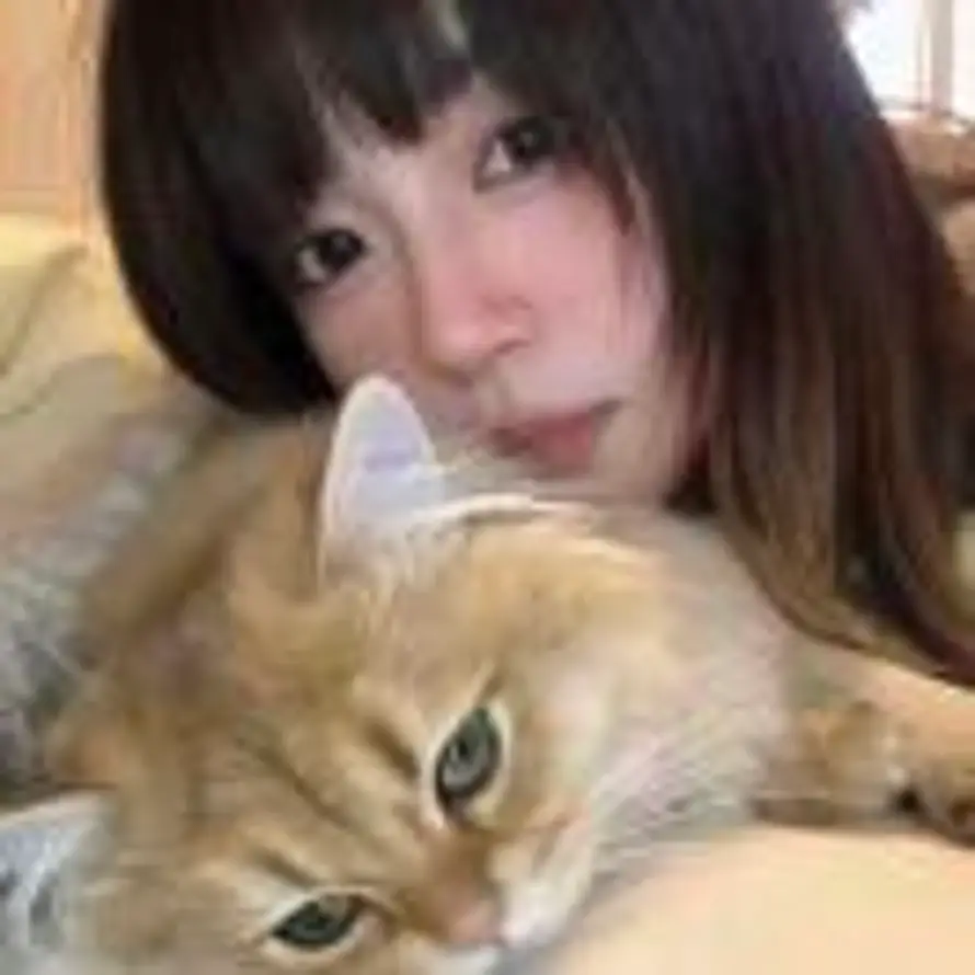 肉松小贝的头像