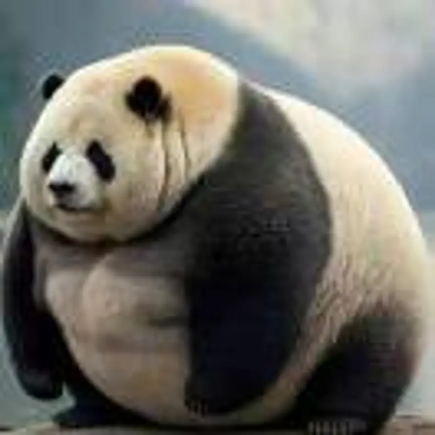 落叶食铁兽的头像