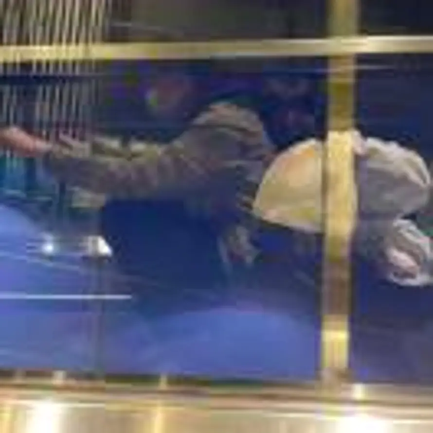 没头脑，也不高兴的头像