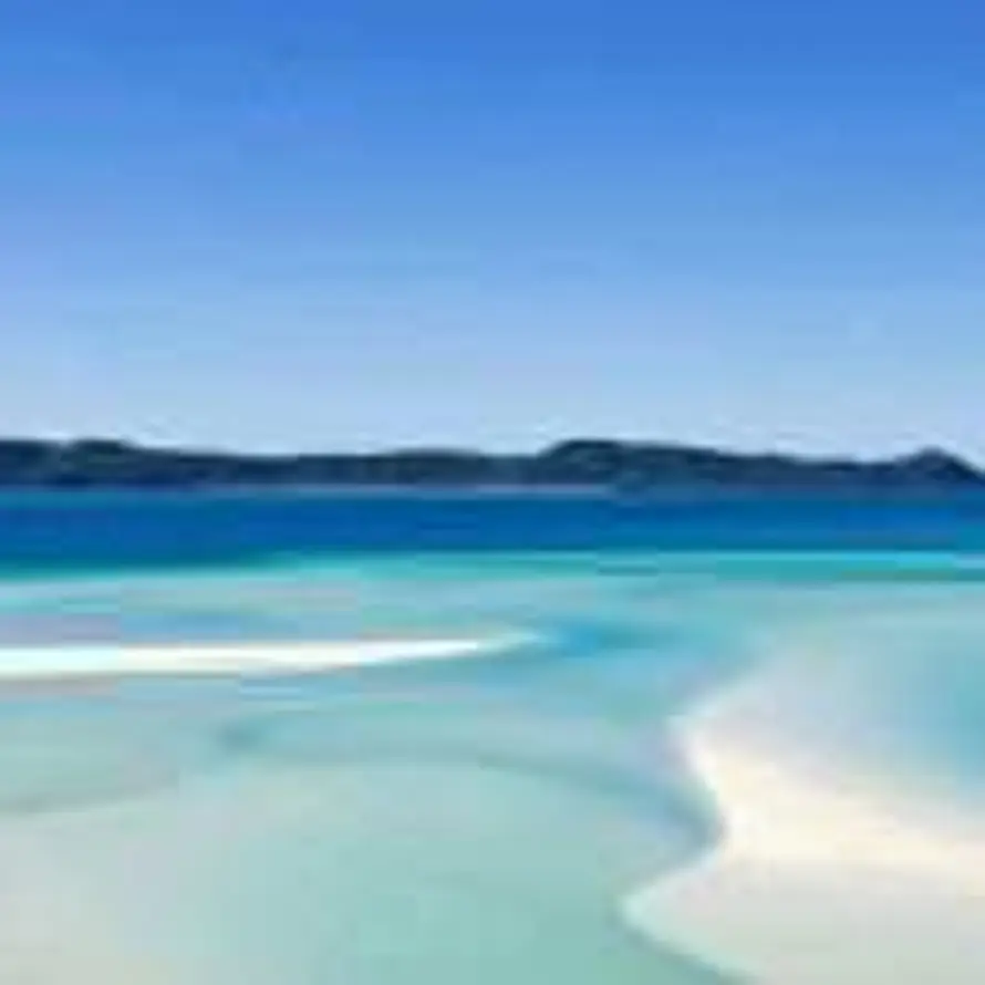 瓦尔登湖的头像