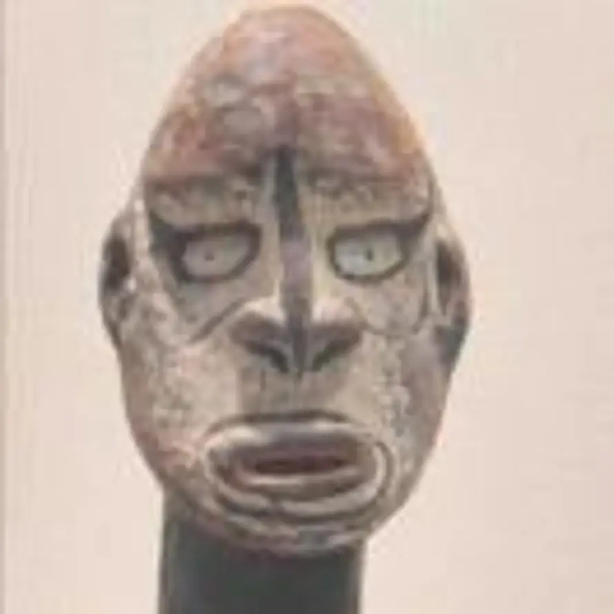      的头像