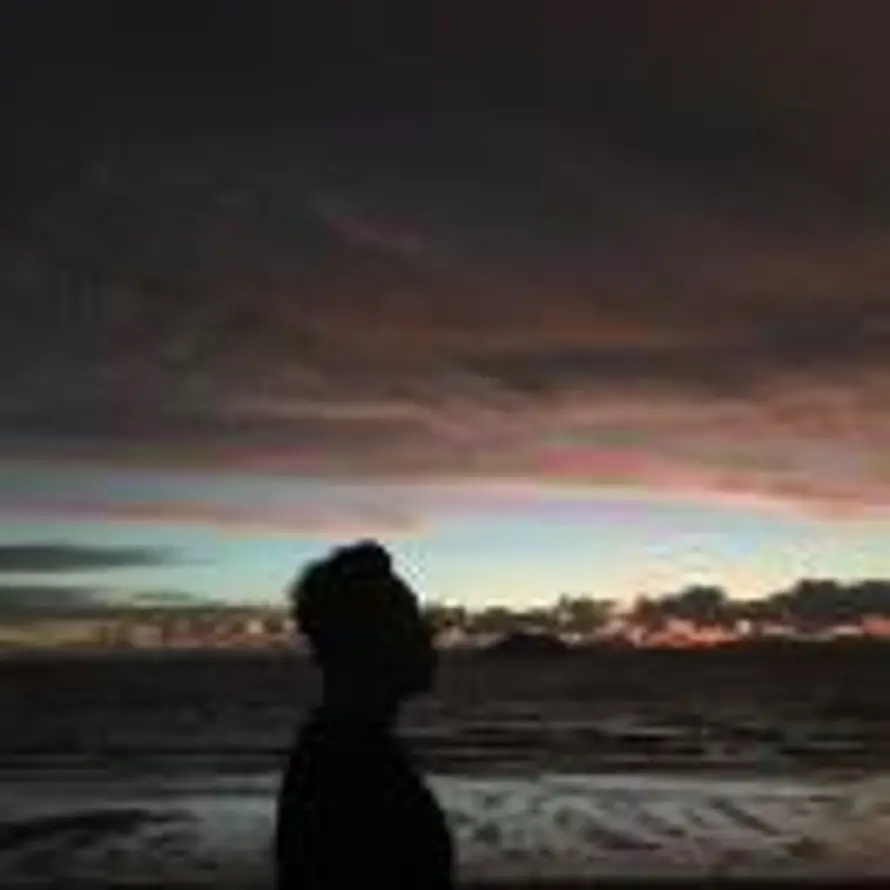 星期天逛动物园的头像