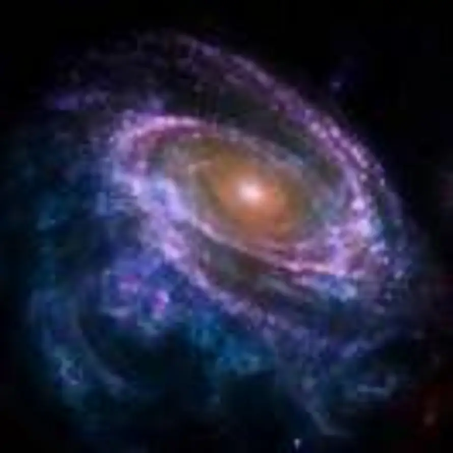 阿巴阿巴阿巴阿巴的头像