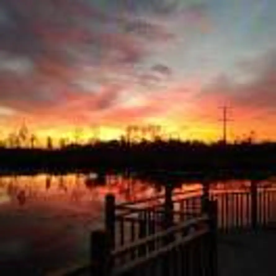 灵魂摆渡者的头像