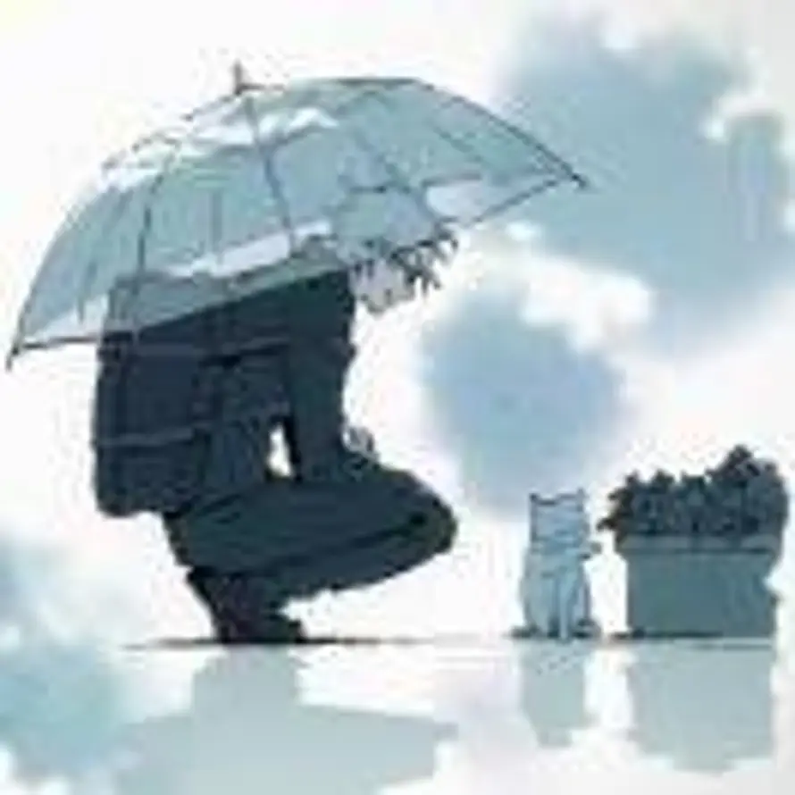 倦游人间zzz的头像