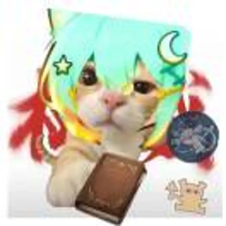 星喵同学的头像