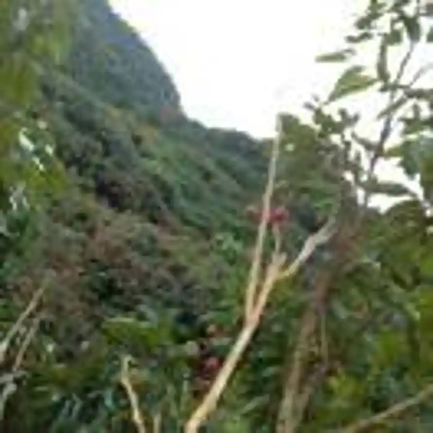 用户四八班的头像