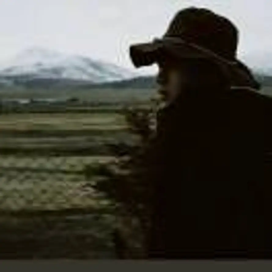 用户难遇.的头像