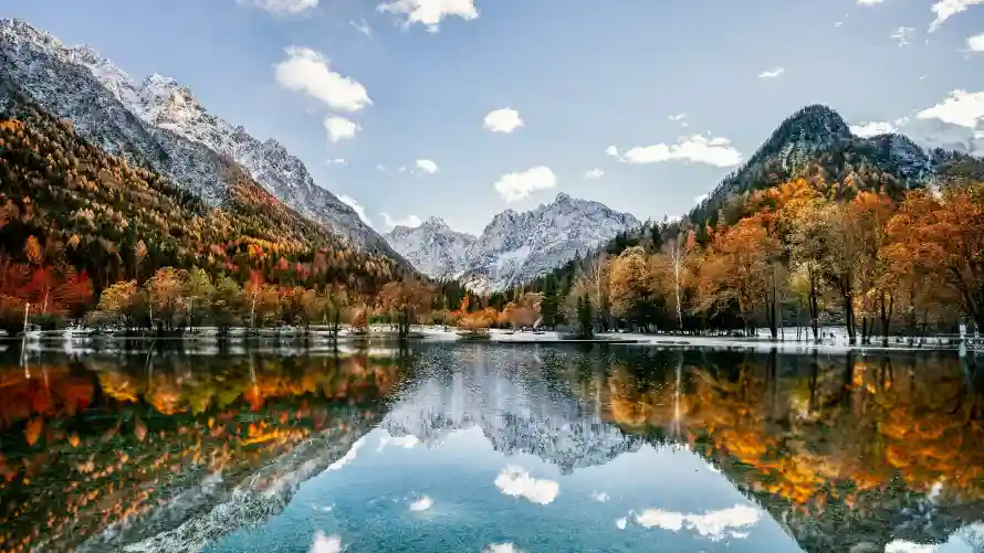4k湖泊壁纸 - 秋林 - 雪山 - 山林倒影「哲风壁纸」