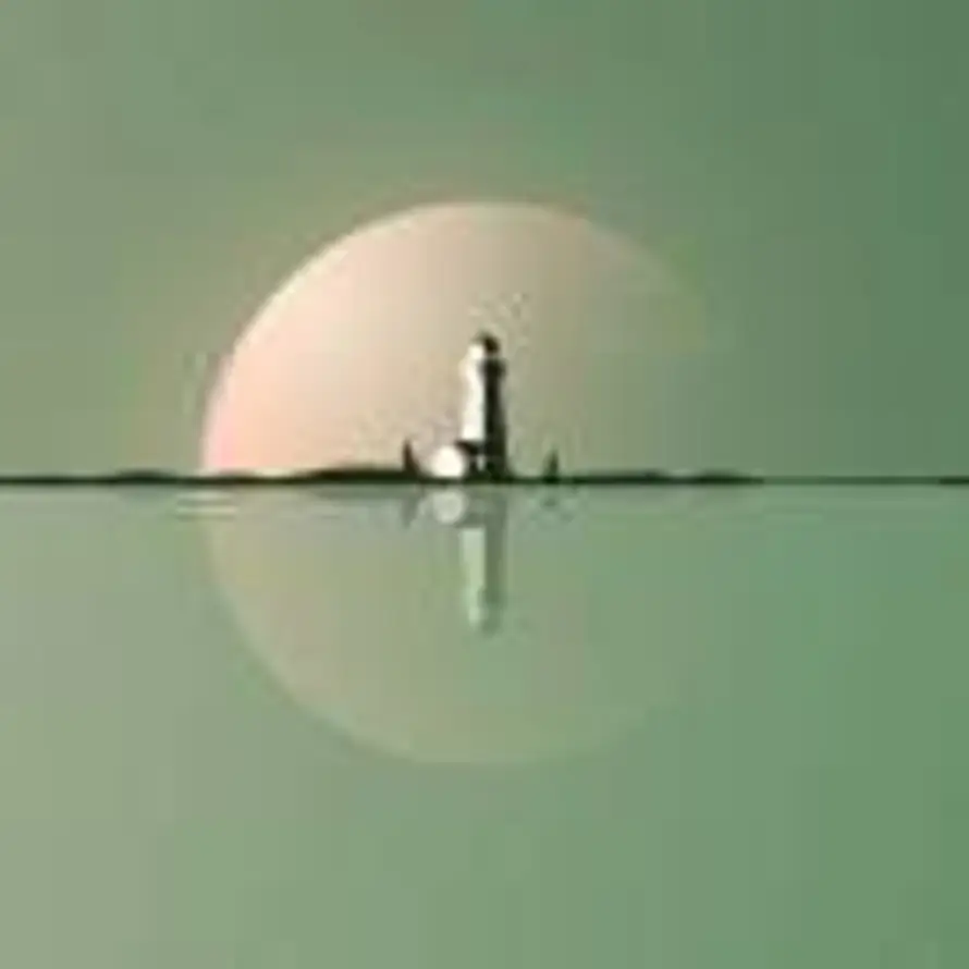 杉杉不迟的头像