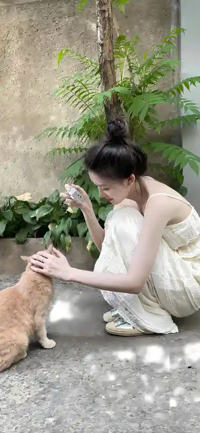 4k美女壁纸 - 小猫 - 绿植 - 庭院「哲风壁纸」