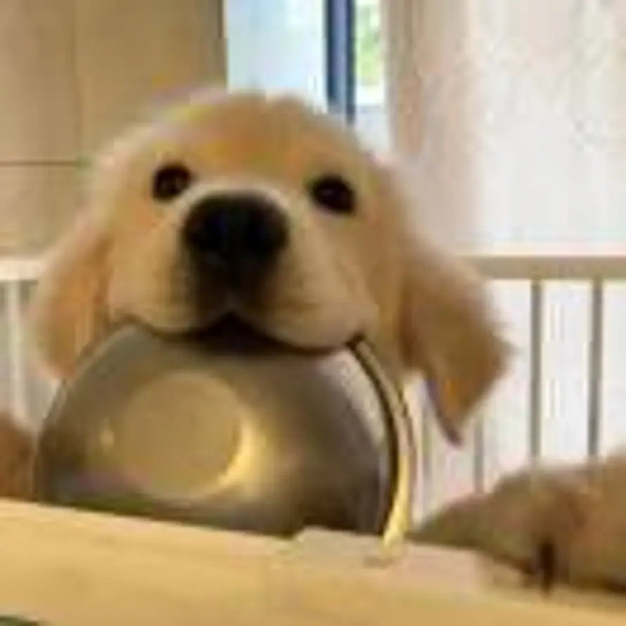 沈建小力宏的头像