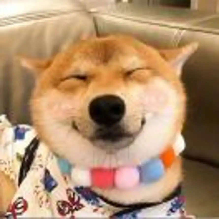 Xue_梓樊🧸的头像