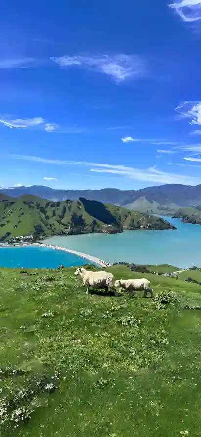 4k小羊壁纸 - 山脉 - 河水 - 湖泊「哲风壁纸」