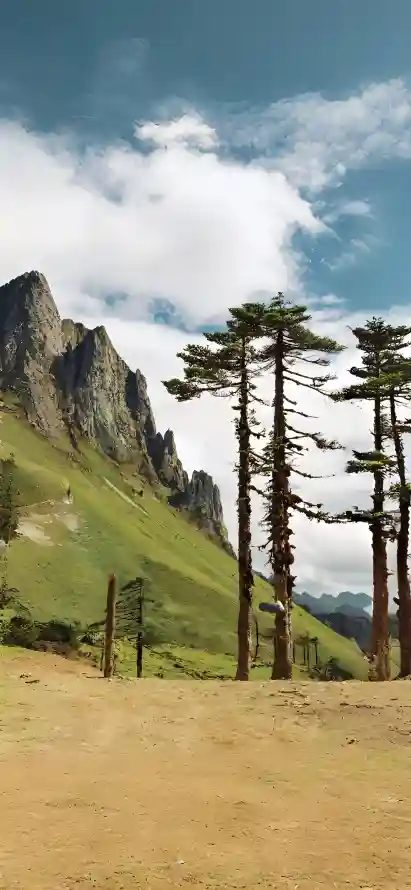 4k云朵壁纸 - 土地 - 山峰 - 松树「哲风壁纸」