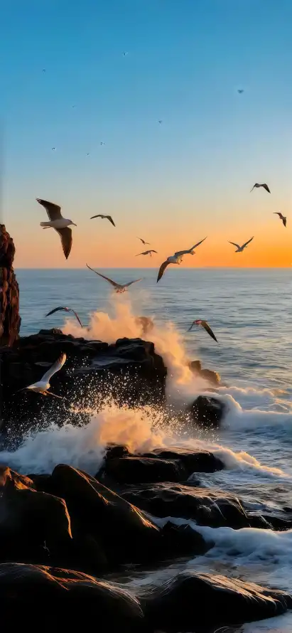 4k天空壁纸 - 岩石 - 日落 - 浪花「哲风壁纸」