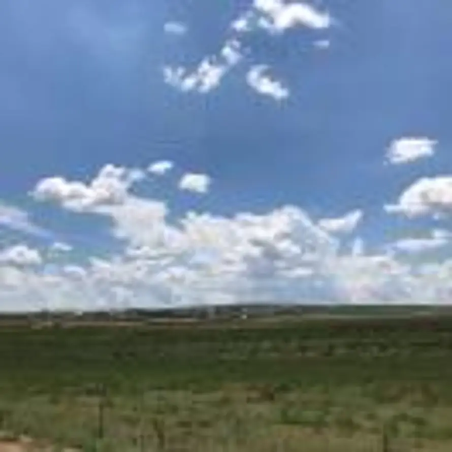 喜欢下雨天的头像