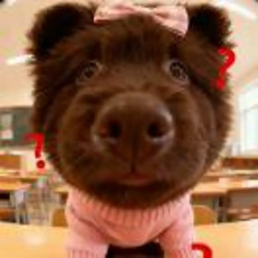 霸气小六的头像