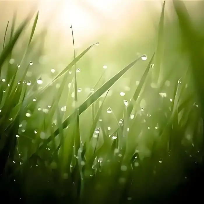 用户老猫的头像