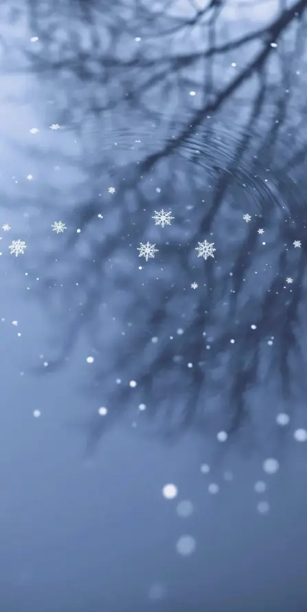 4k倒影壁纸 - 冬季 - 树枝 - 水面「哲风壁纸」