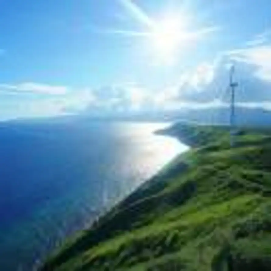 『捌玖』的头像