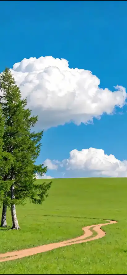 4k小路壁纸 - 松树 - 白云 - 草原「哲风壁纸」