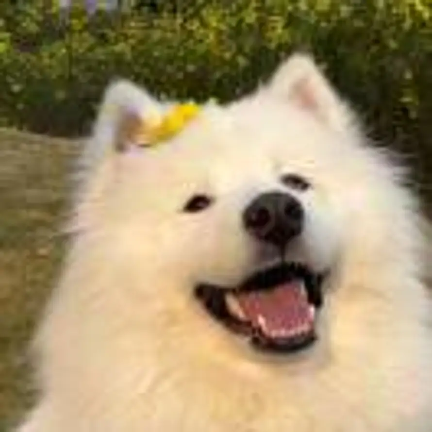 光子跃迁的头像