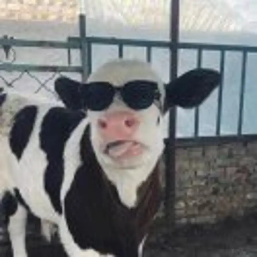 ᅟᅠ曼妥思的头像