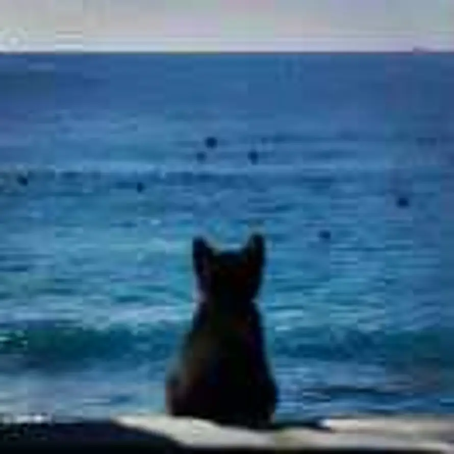 塔力哈尔的头像