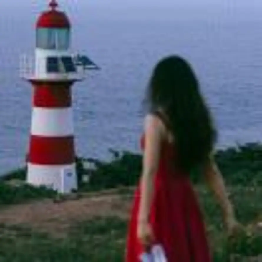 Circle.bobo的头像