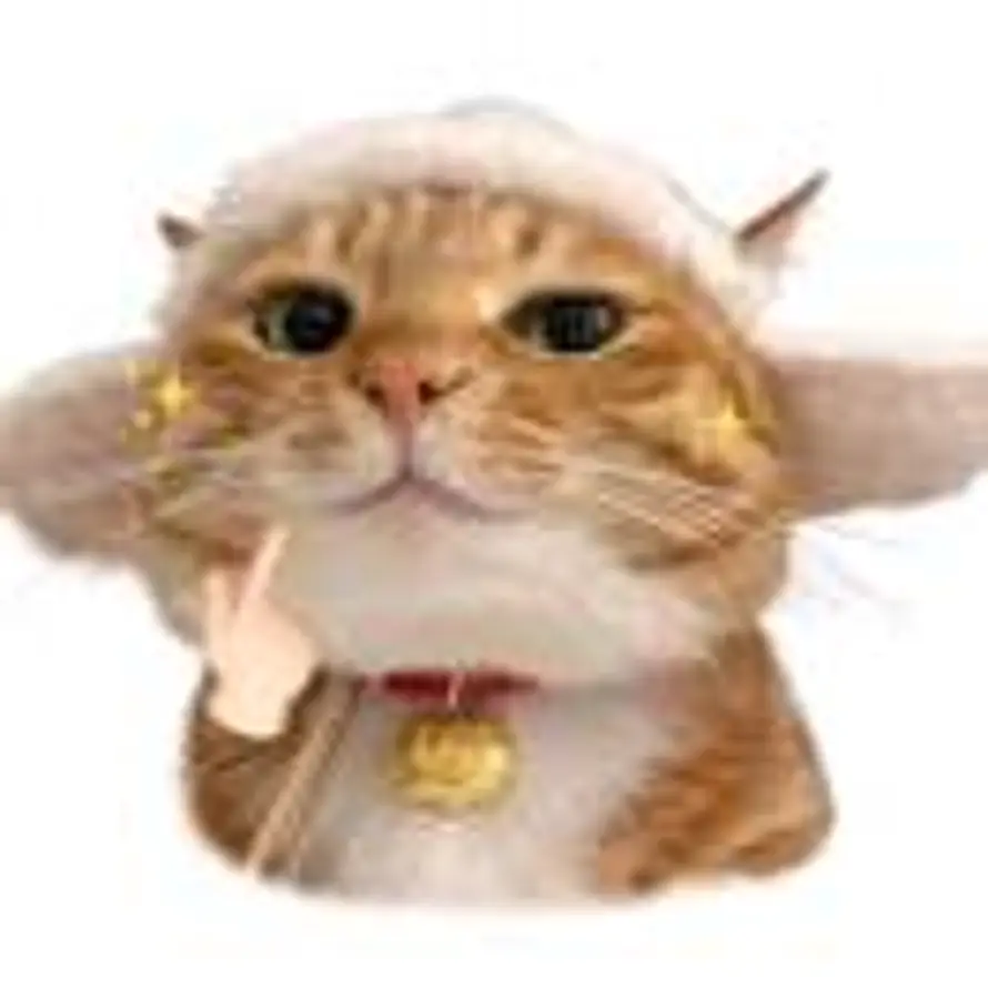 心想事成😺的头像