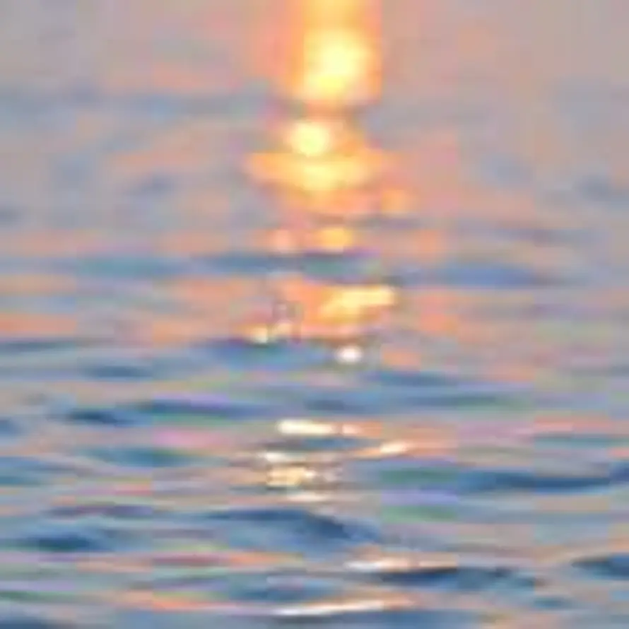 中哲-申艳艳的头像