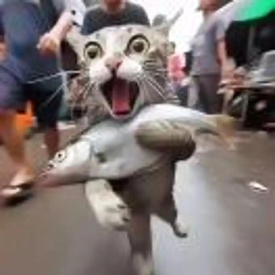 馬คิดถึง的头像