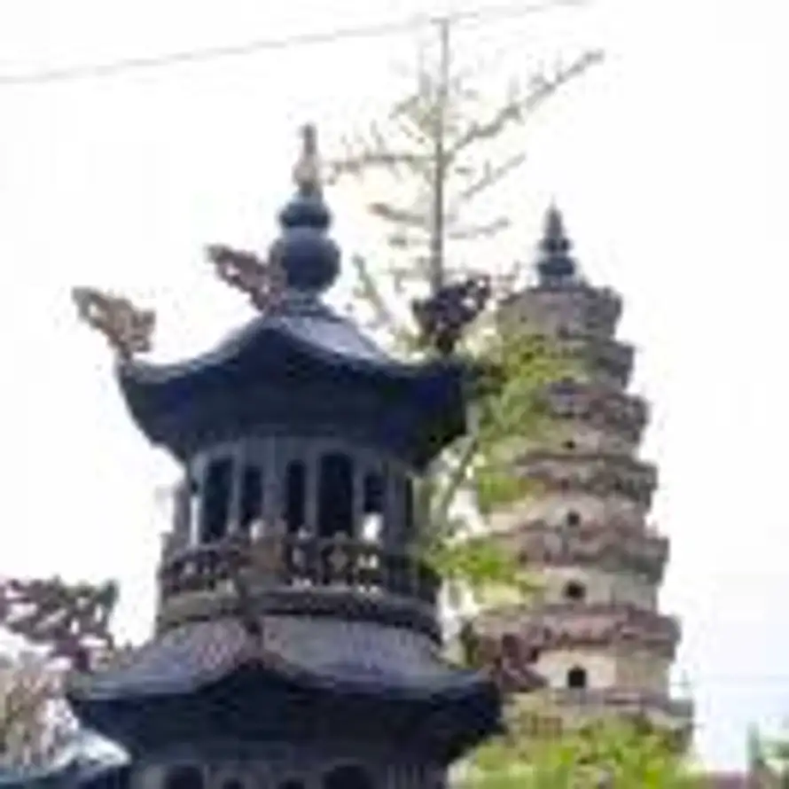 鸿兆人力-白的头像