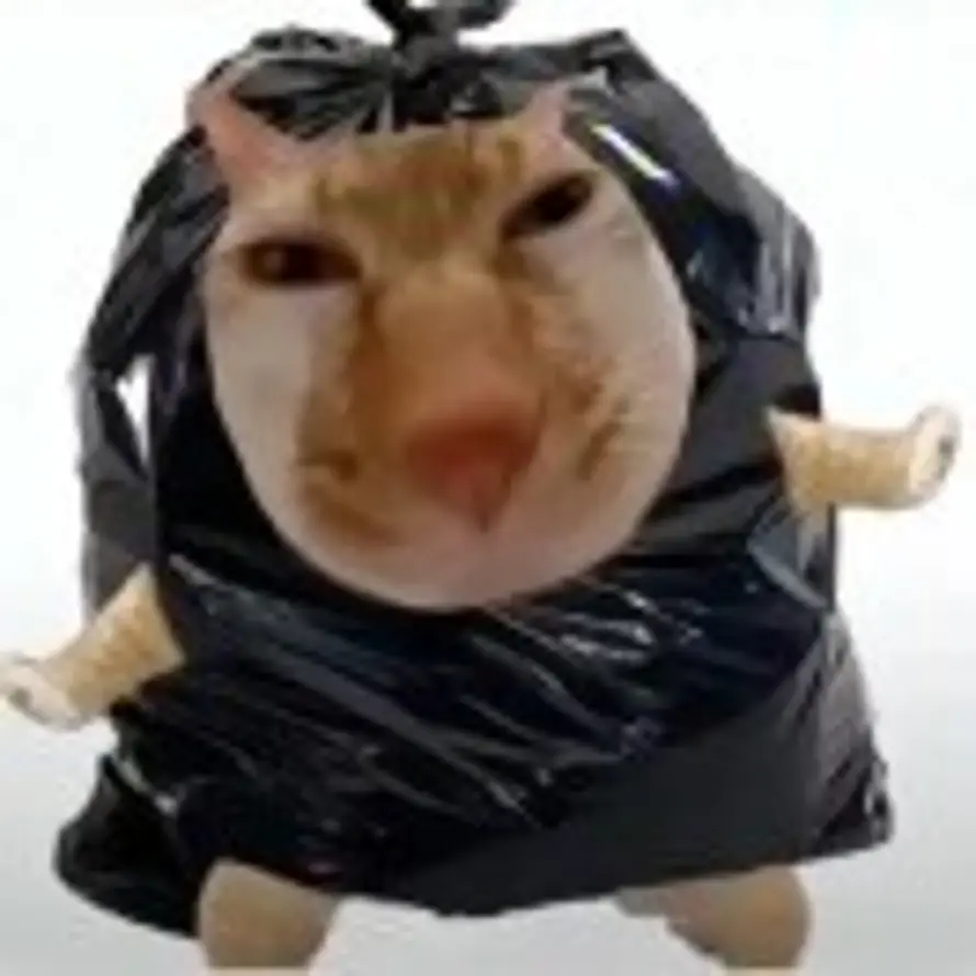 又酸又菜又多余的头像