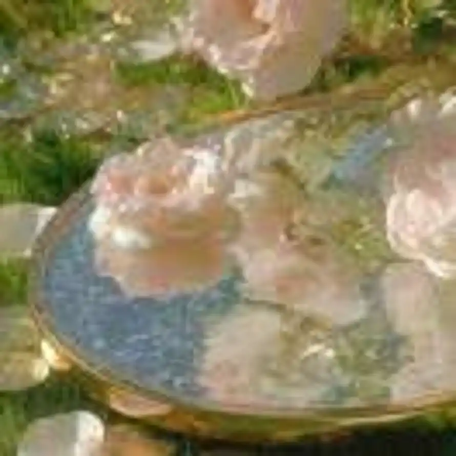 孤呱（有事电话～）的头像