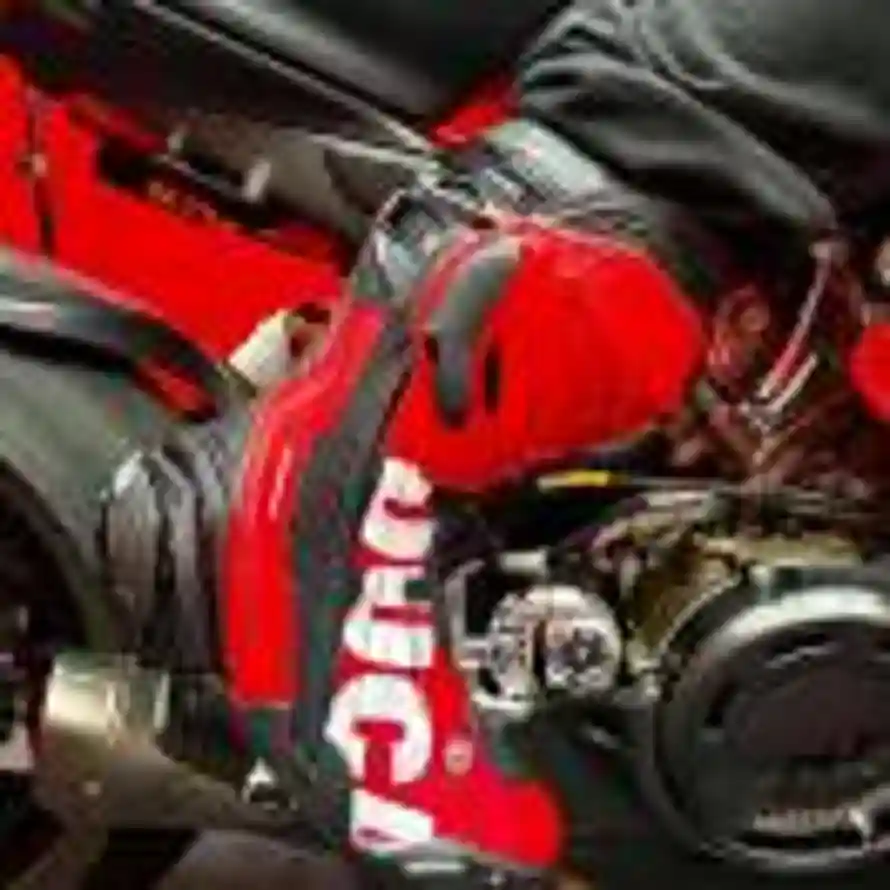 Maverick👾的头像