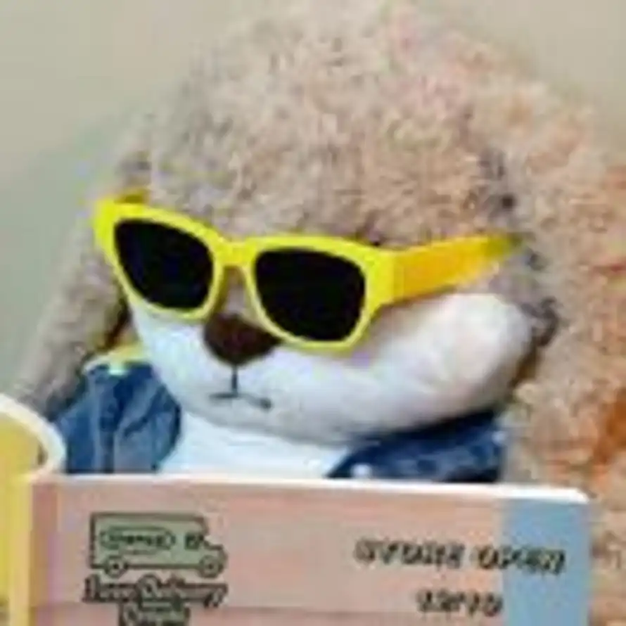 碎嘴企鹅的头像