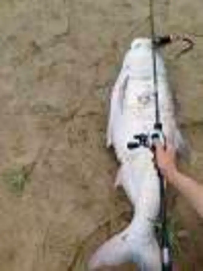 乐意｜科技-王冬的头像