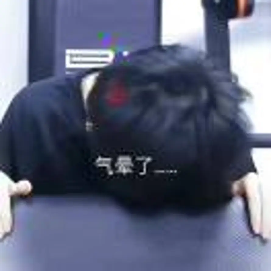 Y的头像