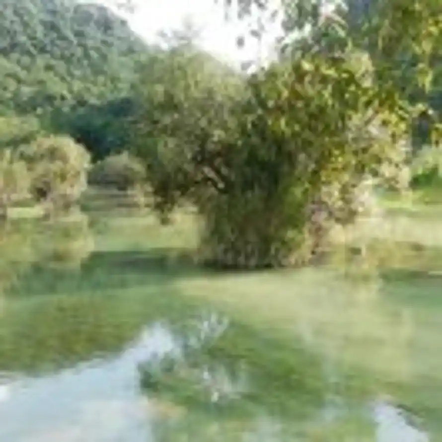 醉美，人间的头像