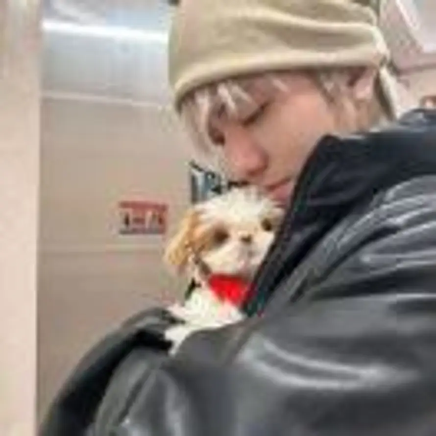 售后时间13:00-凌晨3点 急事谈语音的头像