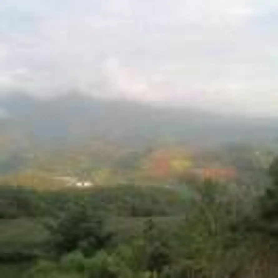  渐离的头像