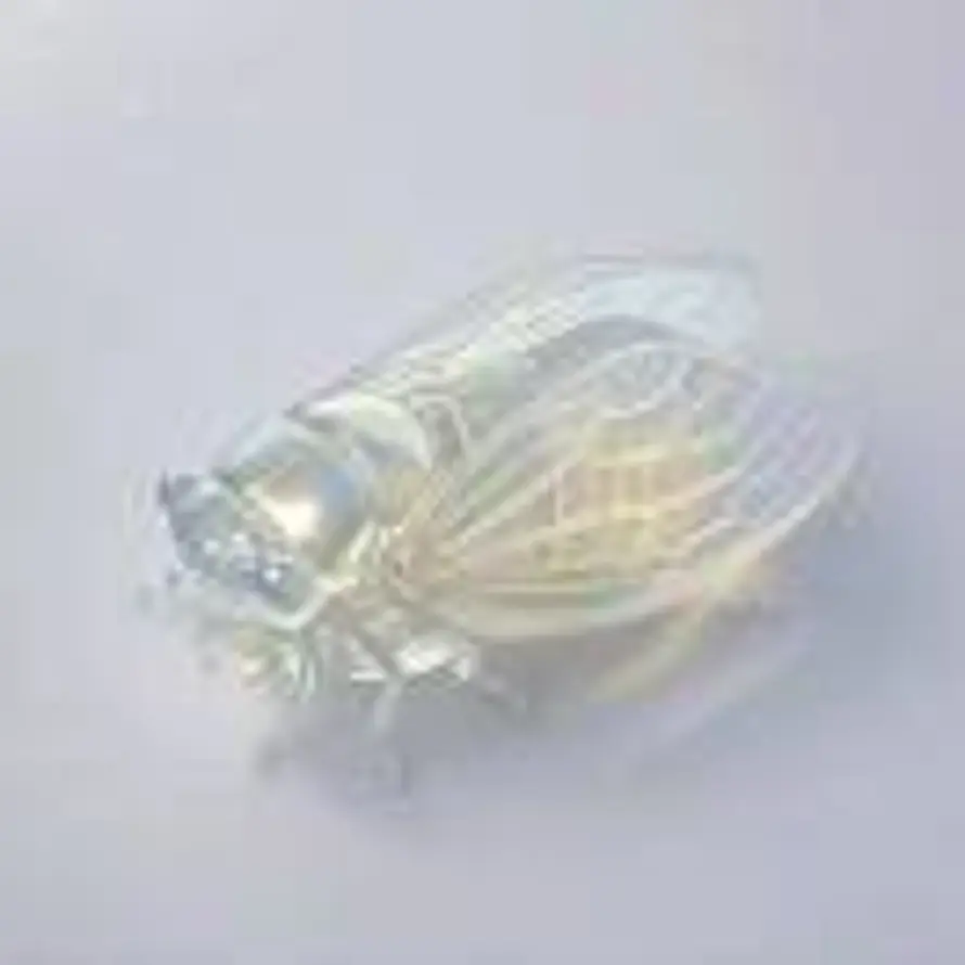 淡然于心的头像